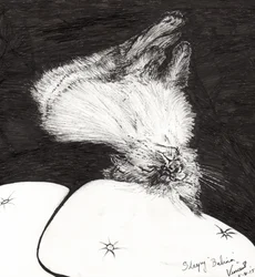 Álmos Belina, 2015, (tinta papíron)